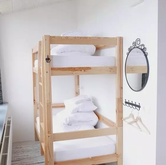 هتل Snotra Hostel