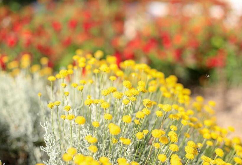 فندق Terra Dei Sogni