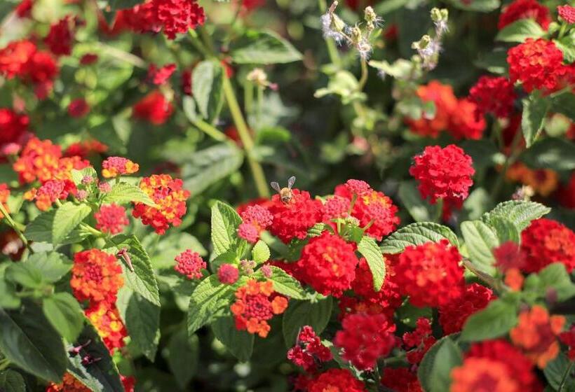 فندق Terra Dei Sogni