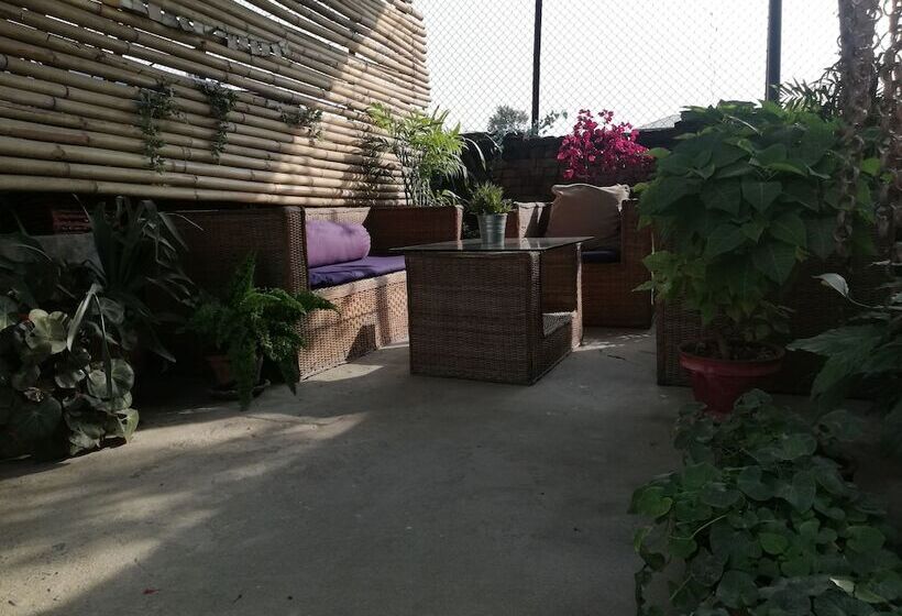 Hotel Amore Guest House