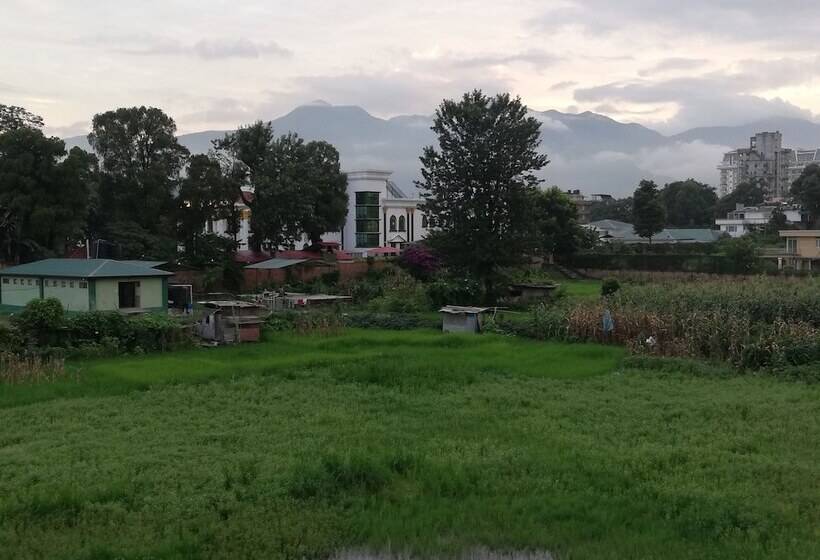 Hotel Amore Guest House