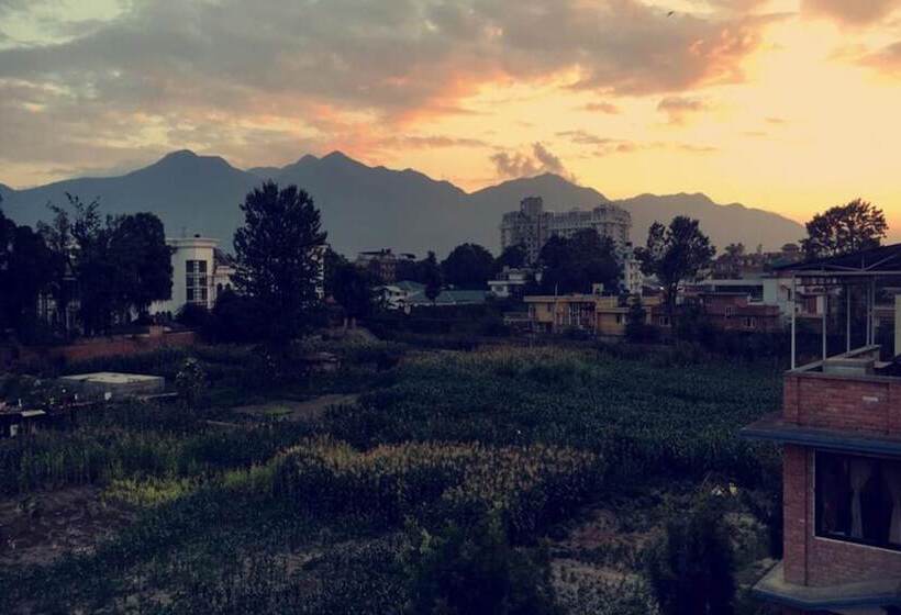 Hotel Amore Guest House