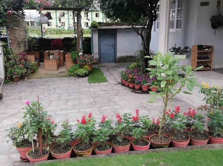 Hotel Amore Guest House