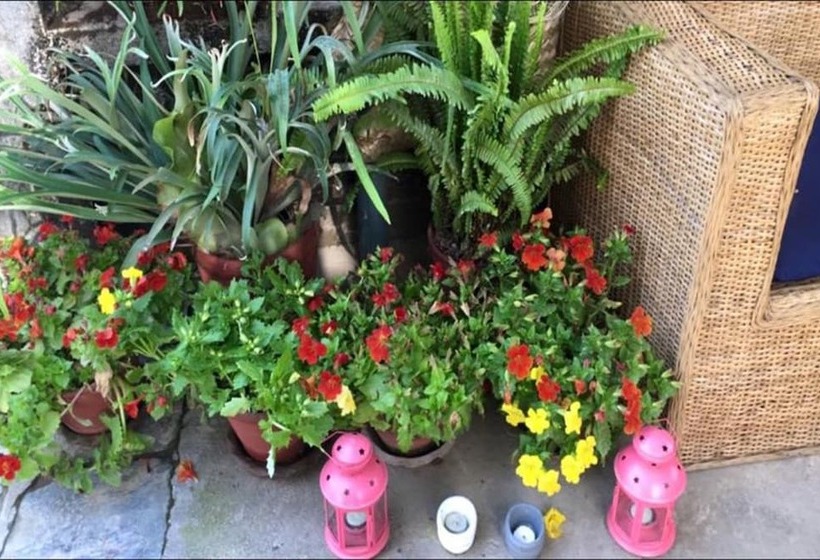 Hotel Amore Guest House