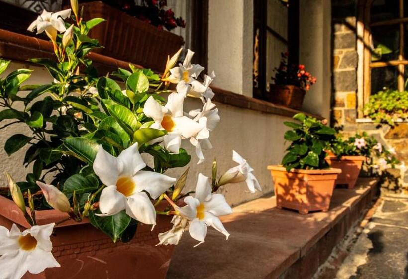 هتل Hostal Montserrat