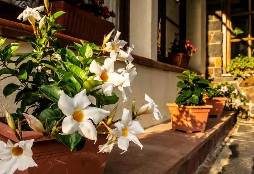 Hotelli Hostal Montserrat