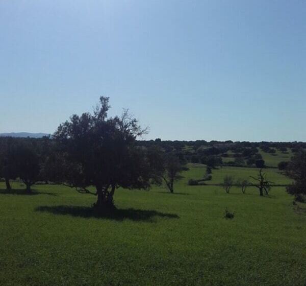 فندق Riad Tigmin Eden