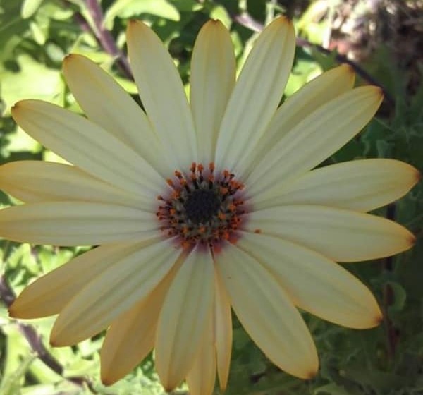 فندق Riad Tigmin Eden