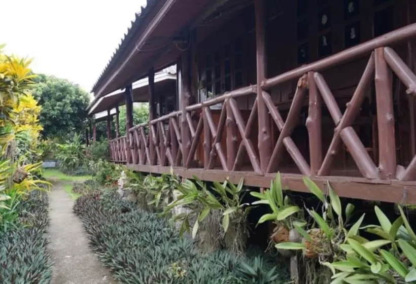 ホテル Vang Vieng Garden Bungalow