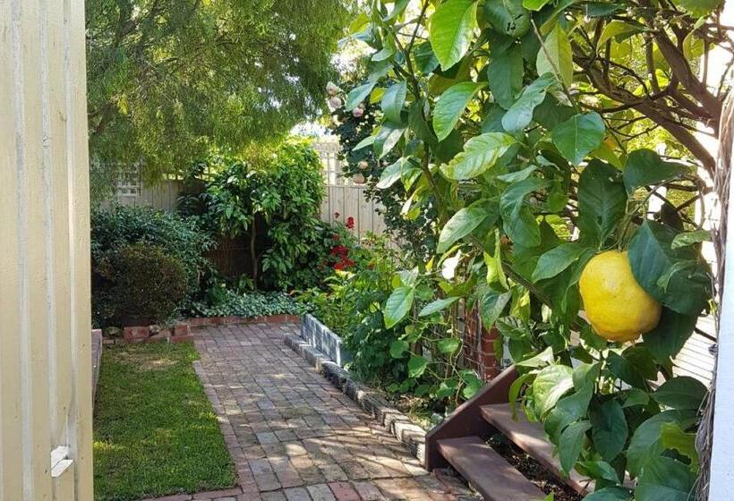Healesville House   Fig Tree House