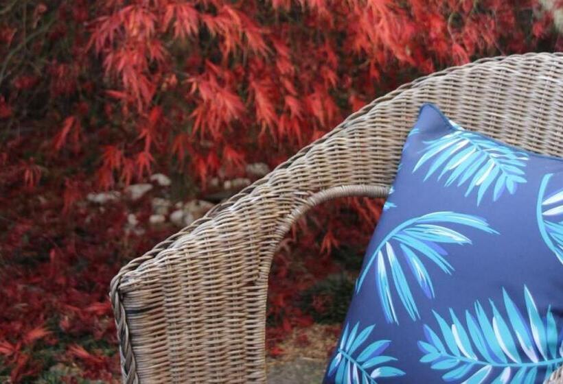 Healesville House   Fig Tree House