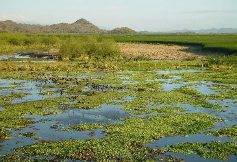 هتل Palo Verde Biological Station