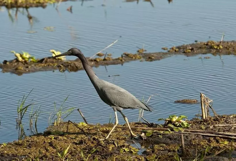 هتل Palo Verde Biological Station