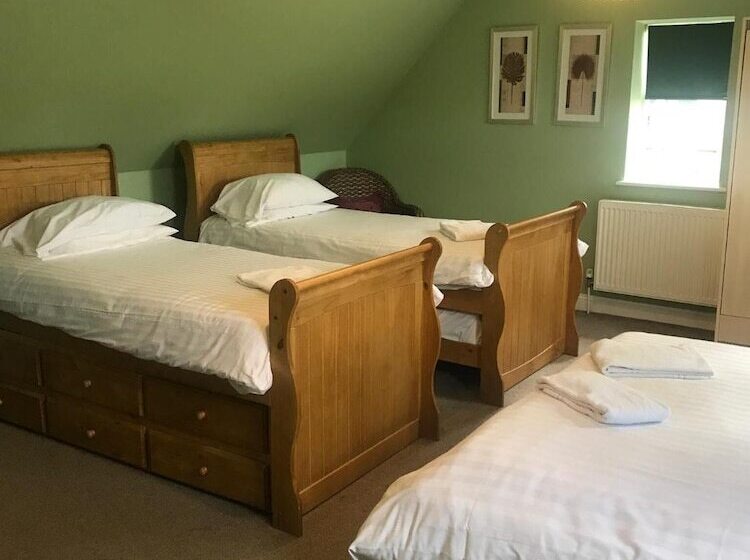 酒店 The Dorrington