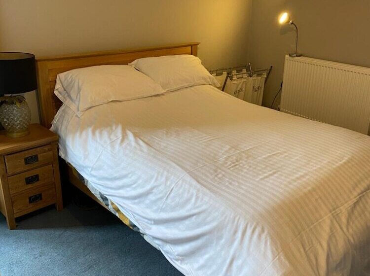 酒店 The Dorrington