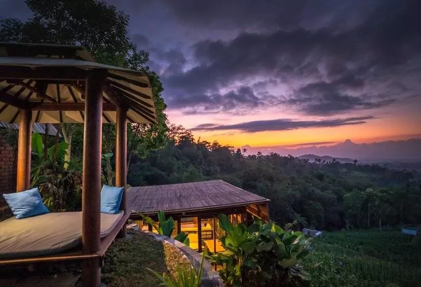 ホテル Village Above The Clouds