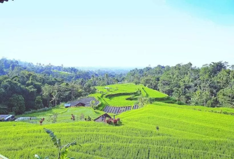 ホテル Village Above The Clouds