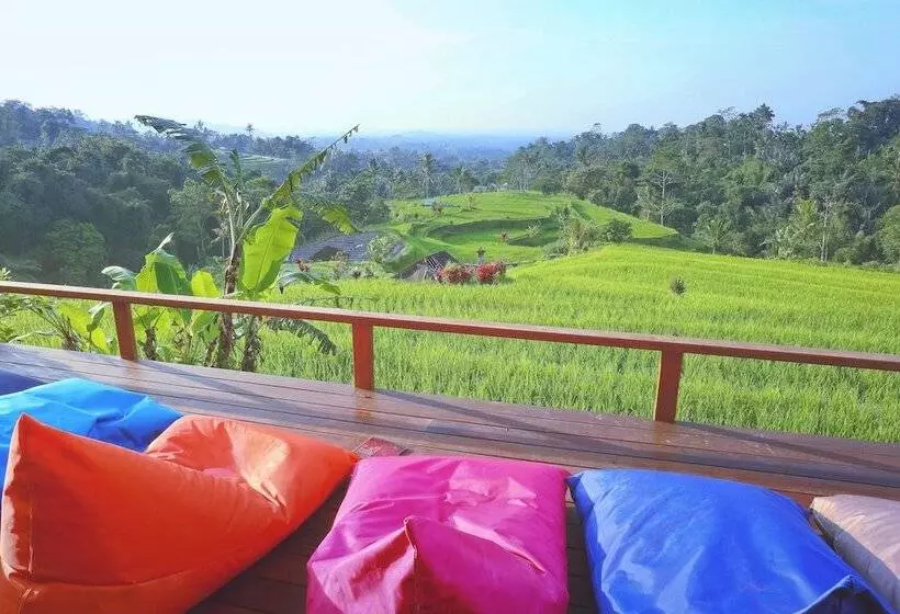 ホテル Village Above The Clouds