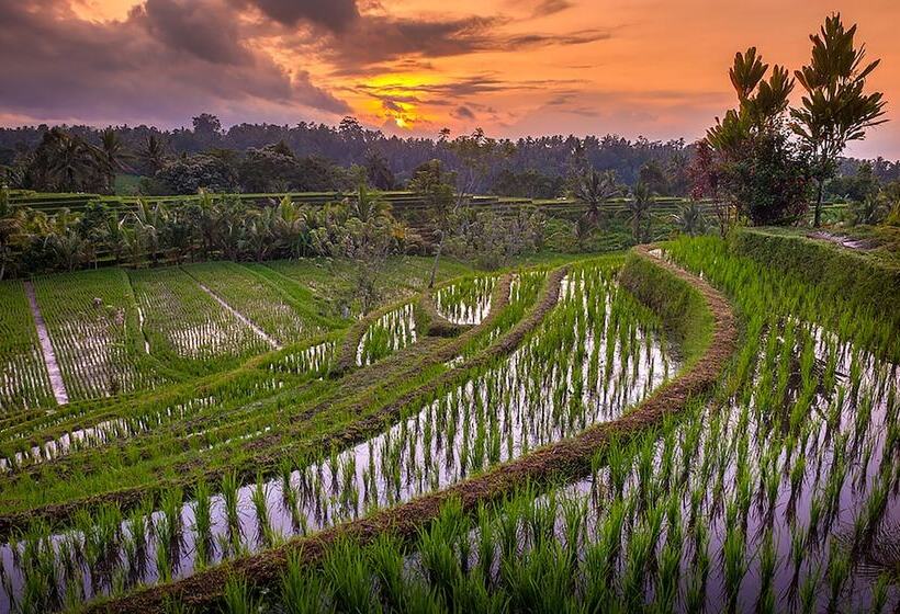 Отель Village Above The Clouds