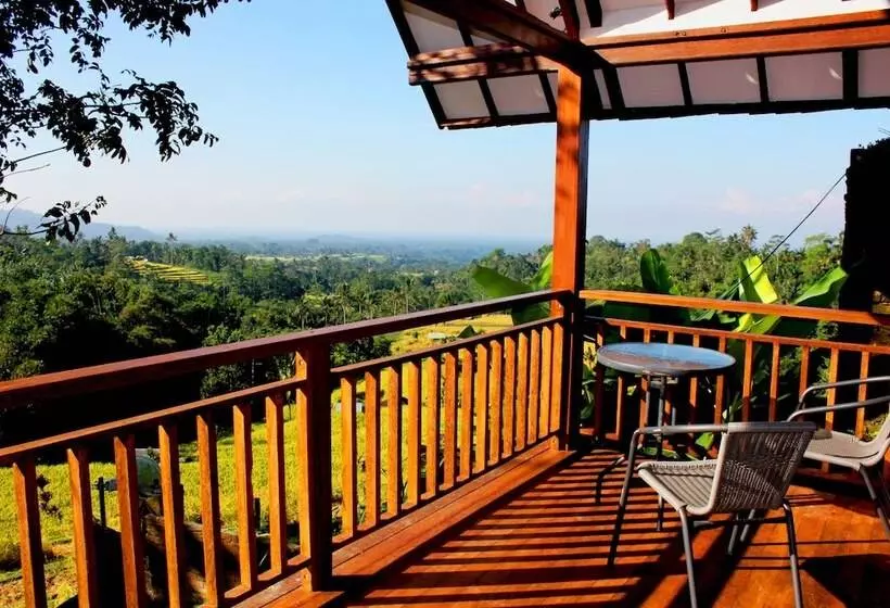 ホテル Village Above The Clouds