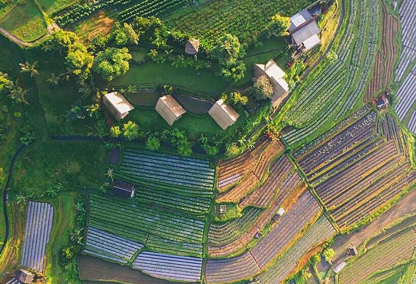 Отель Village Above The Clouds