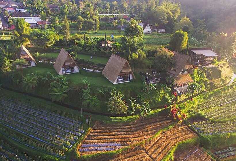 Отель Village Above The Clouds