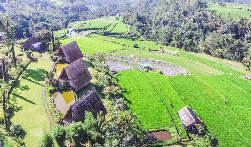 ホテル Village Above The Clouds