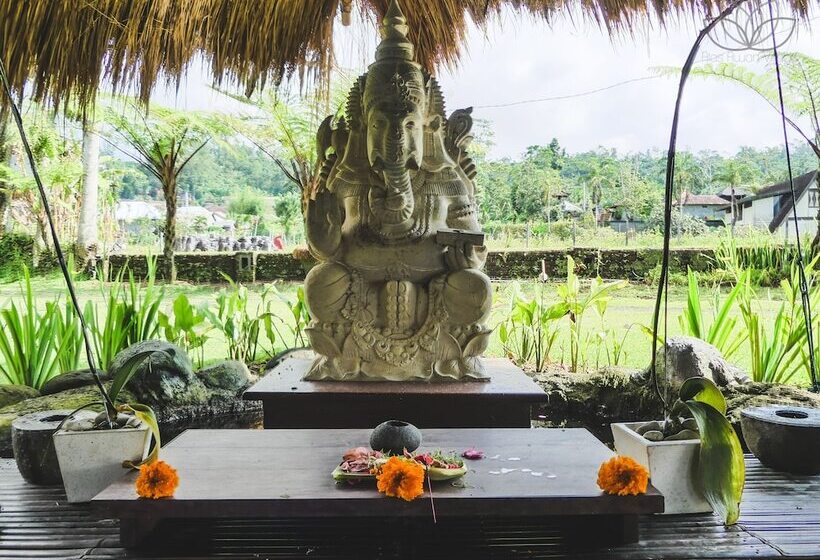 Отель Village Above The Clouds