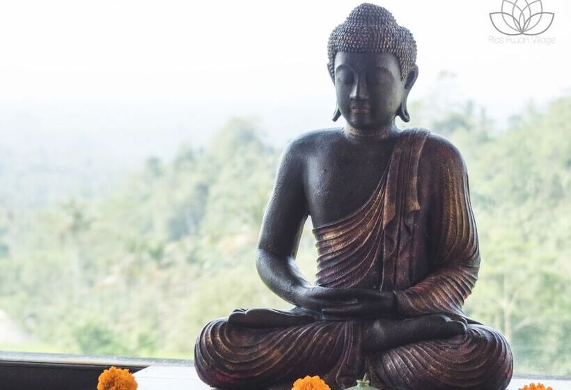 Отель Village Above The Clouds