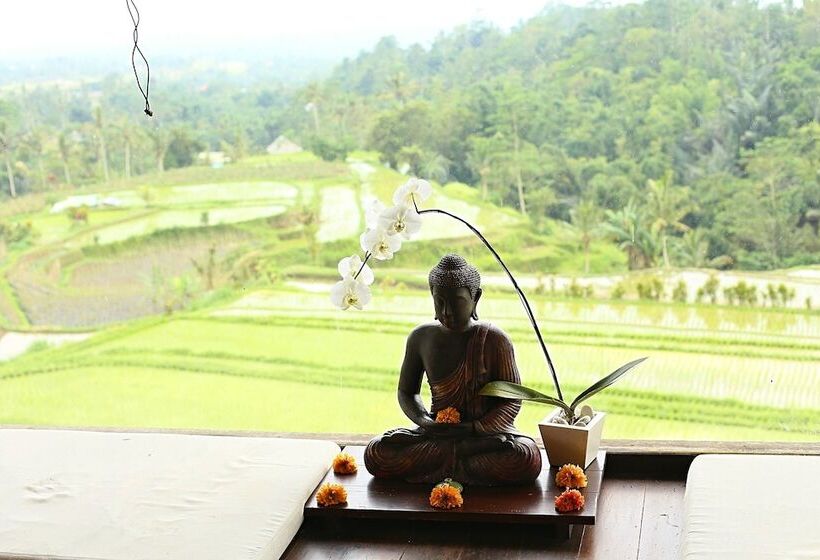 Отель Village Above The Clouds