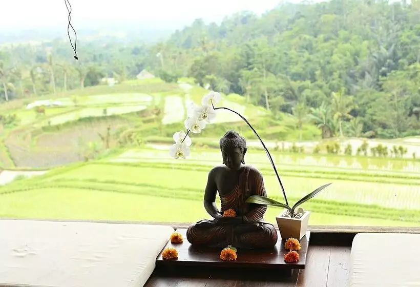 ホテル Village Above The Clouds