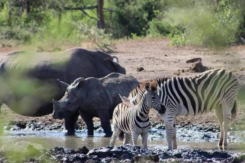 Пансион Amazulu Lodge