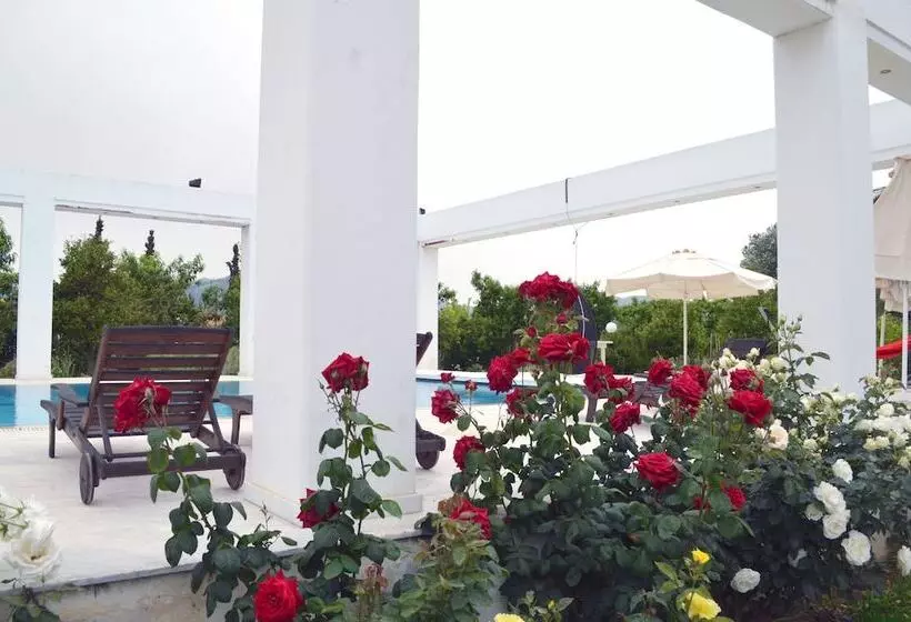 Majatalo Olive Mansion Suites