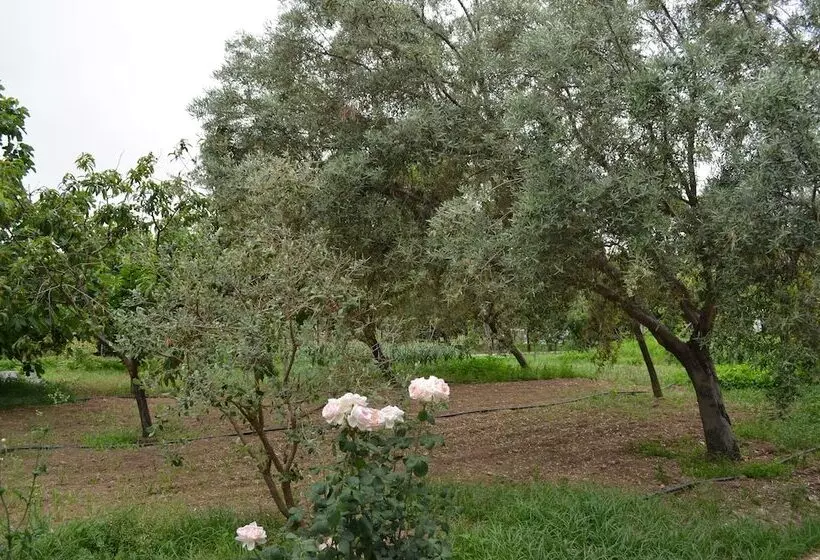 Majatalo Olive Mansion Suites