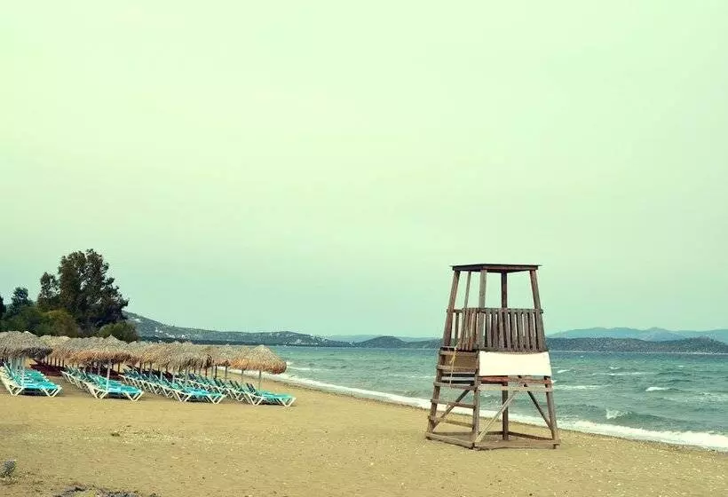 Majatalo Olive Mansion Suites