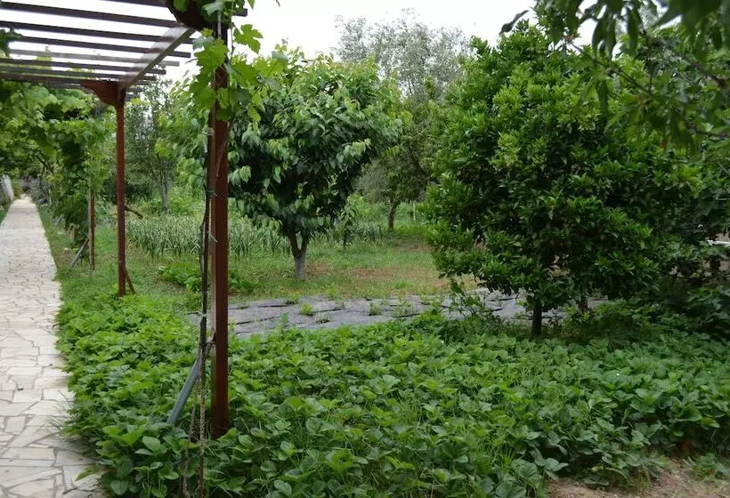 Majatalo Olive Mansion Suites