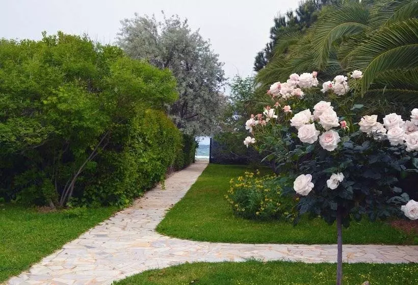 Majatalo Olive Mansion Suites