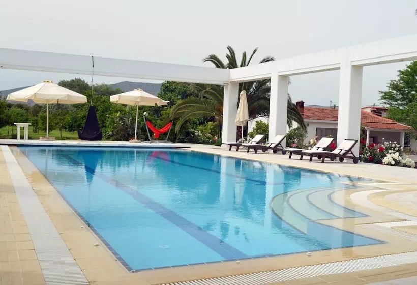 Majatalo Olive Mansion Suites