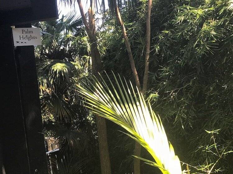 Пансион Palm Heights