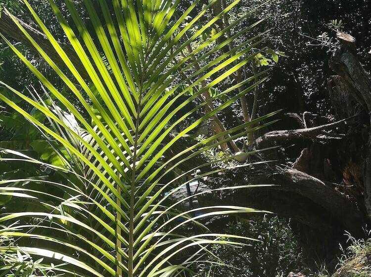 Пансион Palm Heights