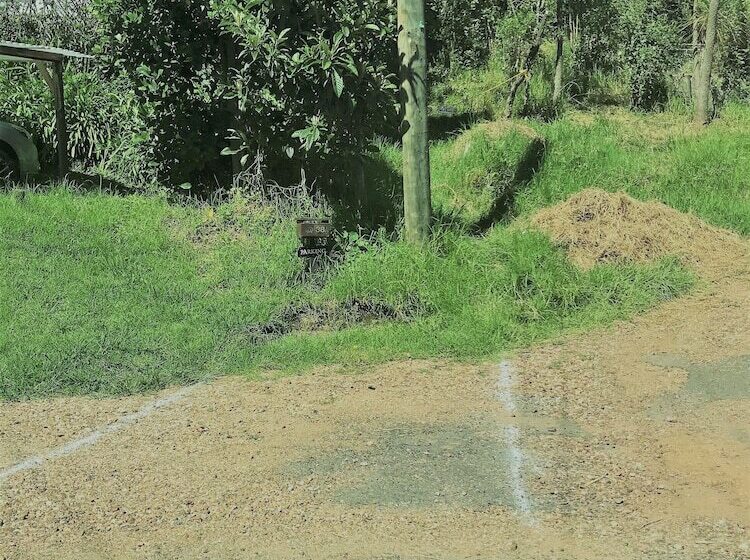 Пансион Palm Heights