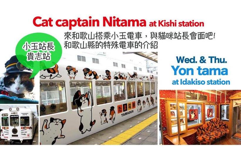 Pensjonat Tsukiji Hostel Wakayama