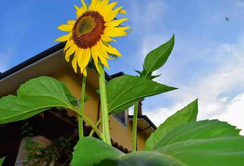 Aamiaismajoitus (B&B) Villa Cristina