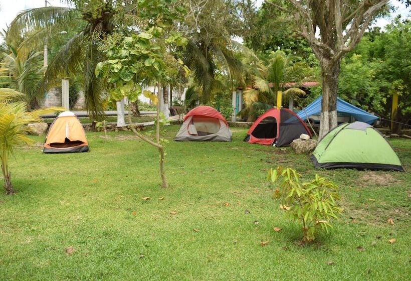 Camping Hostal El árbol De La Vida Hostel