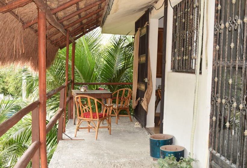 Camping Hostal El árbol De La Vida Hostel