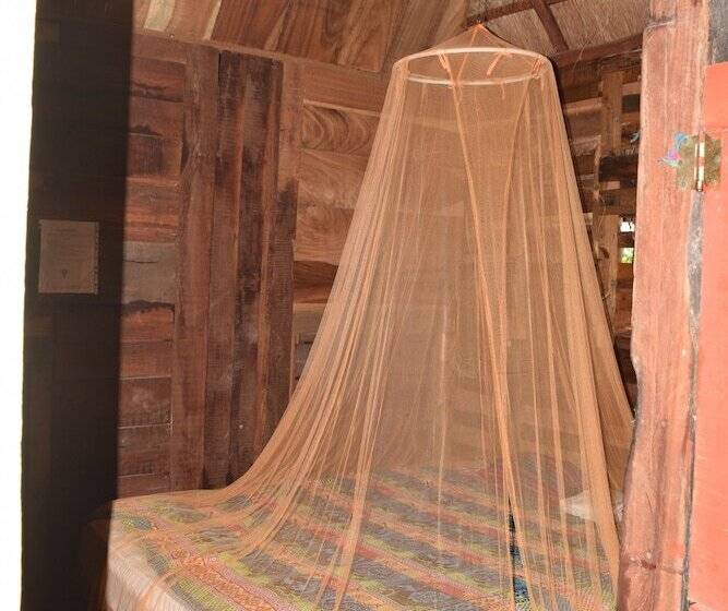 Camping Hostal El árbol De La Vida Hostel