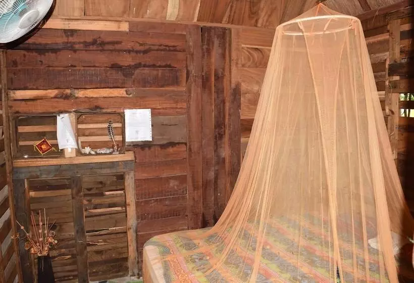 Camping Hostal El árbol De La Vida   Hostel