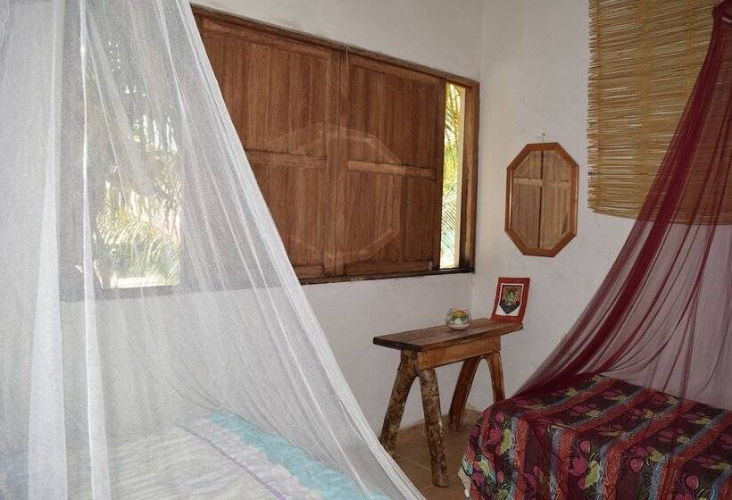 Camping Hostal El árbol De La Vida Hostel