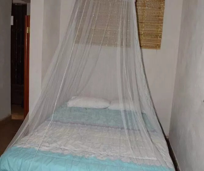 Camping Hostal El árbol De La Vida   Hostel