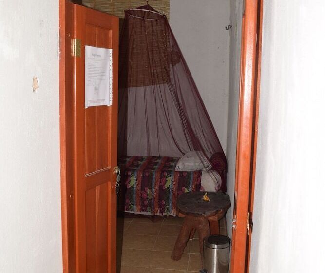 Camping Hostal El árbol De La Vida Hostel